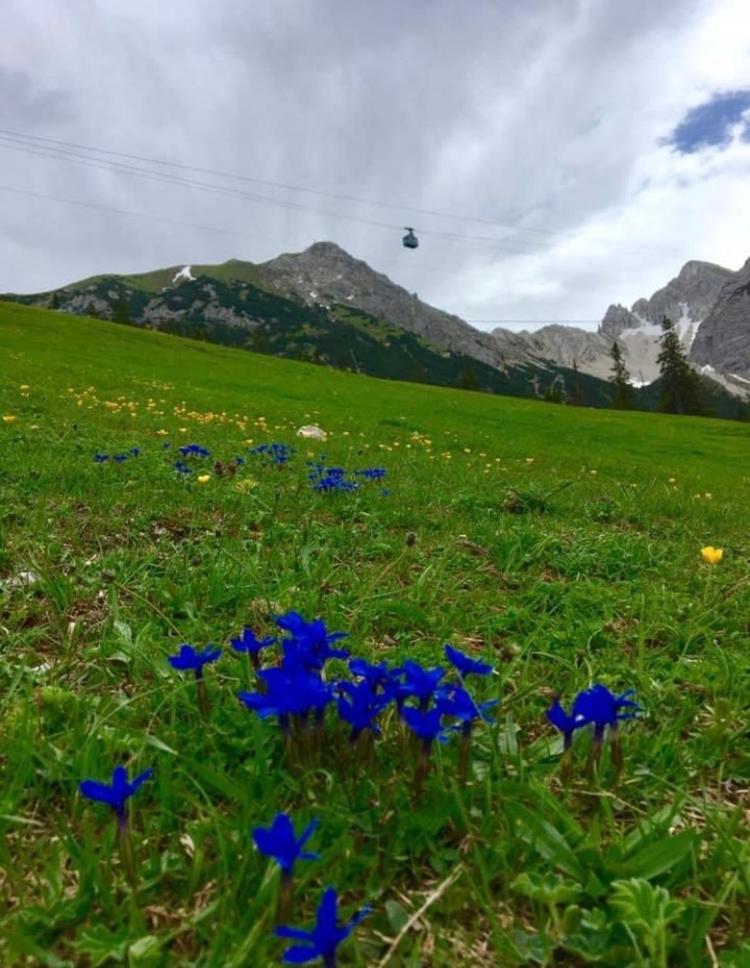 Relax Seefeld Apartman Seefeld in Tirol Bagian luar foto